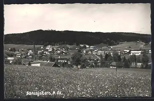 AK Schneegattern /O. Oe., Ortsansicht vom Feld aus