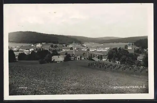 AK Schneegattern /O. Ö., Verstreute Ortschaft vom Feld aus