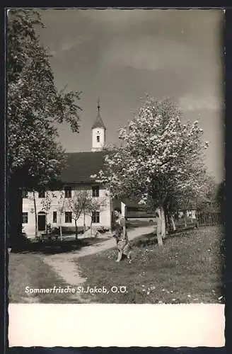 AK St. Jakob /O.-Ö., Gasthaus mit blühenden Bäuen und Schäferhund