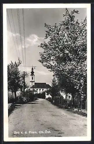 AK Zell a. d. Pram, Strassenpartie mit Kirche und blühenden Bäumen