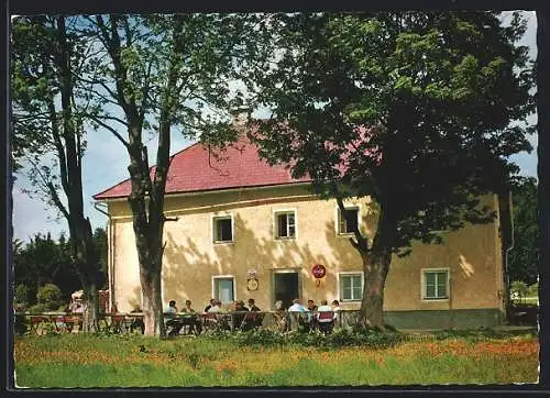 AK Aigen im Mühlkreis, Grünwald, Gasthaus Panyhaus