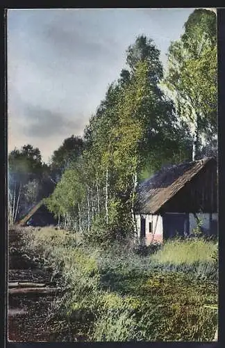 AK Photochromie NR 1982: Waldpartie m. Häusern & Feldern