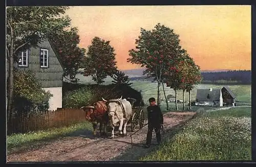 Künstler-AK Photochromie Nr. 3464: Junge mit Viehkarren auf einem Weideweg