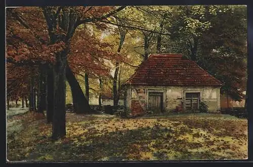 AK Photochromie Serie 268 Nr. 4191: altes Haus im Herbst