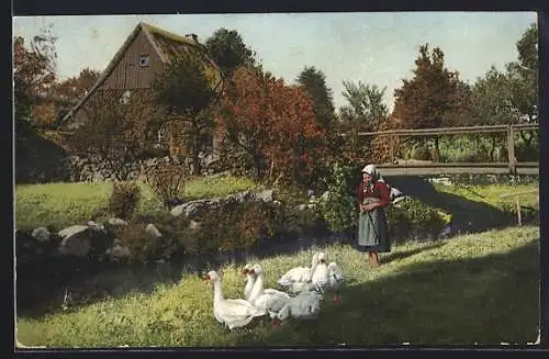 Foto-AK Photochemie Berlin Nr. 2298: Landschaft mit Gänsehirtin