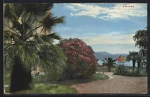 AK Photochromie NR: 1842, Serie 71, Haus am See, Segelboote im Hintergrund