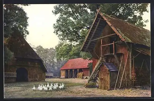 AK Photochromie NR 3088: Gänse auf einem Bauernhof