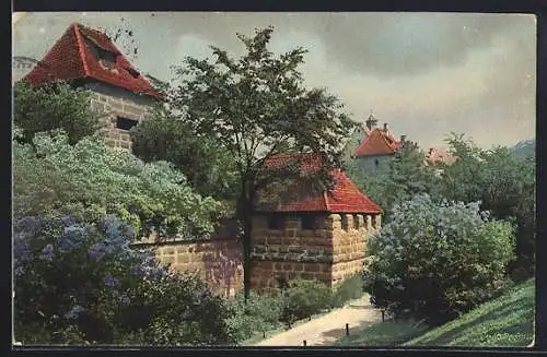 Foto-AK Photochemie Berlin Nr. 1915: Landschaft mit Gemäuer