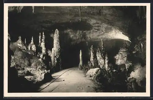 AK Grotte di Postumia, Il viale delle colonne, Höhle