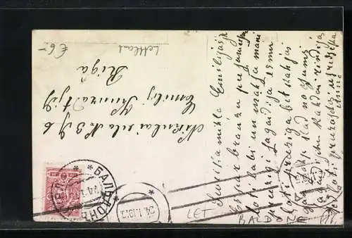 AK Baldone, Villa am Waldrand