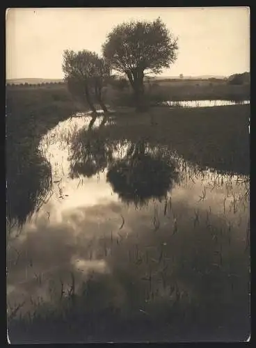 4 Fotografien Martin Wolf, Nördlingen, Ansicht Donauwörth - Umland, Landschaftsbilder in verschiedenen Jahreszeiten