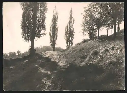 4 Fotografien Martin Wolf, Nördlingen, Ansicht Donauwörth - Umland, Landschaftsbilder in verschiedenen Jahreszeiten