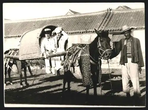 Fotografie unbekannter Fotograf, Ansicht China, Matrosen reisen mit einer Maultier-Sänfte