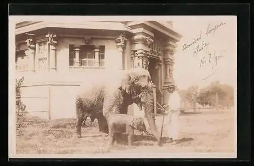 Foto-AK Buenos Aires, Elefant mit Jungem im Zoo