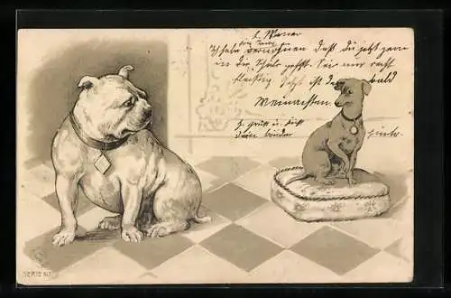 Lithographie Gedrungener kräftiger Hund und schmaler Gefährte auf einem Kissen