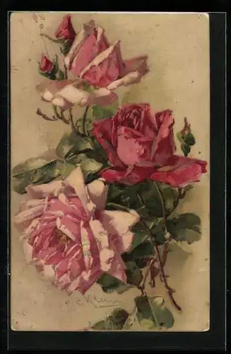 Künstler-AK Catharina Klein: Drei rosa Rosenblüten mit Knospen und Blättern