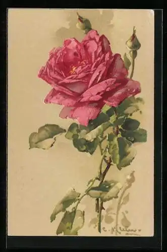 Künstler-AK Catharina Klein: Rote Rose mit Knospen und Blättern