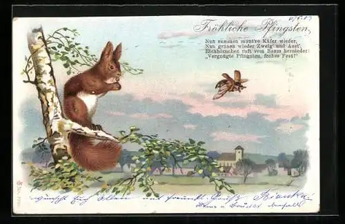 Lithographie Eichhörnchen mit Nuss auf einem Baum und fliegender Maikäfer, Pfingstgruss