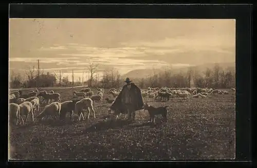 Foto-AK Schafherde mit Schäfer und Hütehund