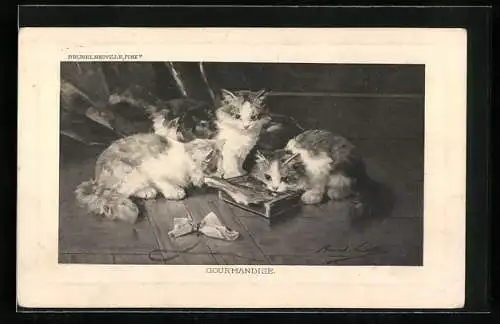 Künstler-AK Gourmandise, drei Katzen naschen aus einer Holzkiste