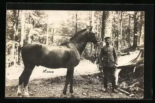 Foto-AK Pferd mit Soldat im Wald