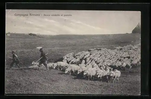 AK Campagna Romana, Schafherde mit Schäfern auf der Weide