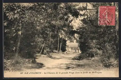 AK Saint-Trojan, Le Chemin de la grande Plage dans la forêt