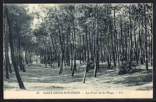 AK Saint-Denis-d`Oléron, La Forêt de la Plage