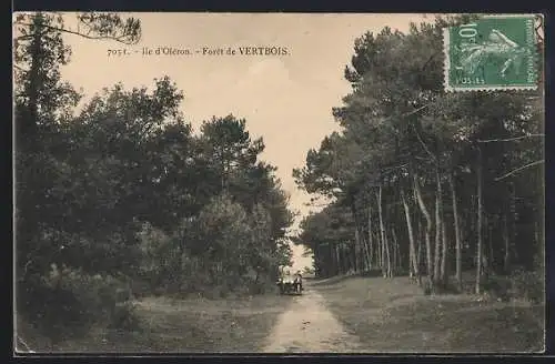 AK Vertbois, Allée forestière dans la Forêt de Vertbois