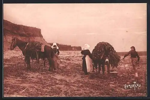 AK Ile d`Oleron, Récolte du varech à la Côte Sauvage