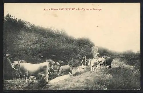 AK Aiguebelle, Les Vaches de l`Abbaye au Paturage