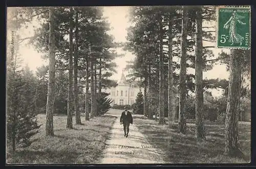 AK Avranches, Le Grand-Puy et allée bordée de pins