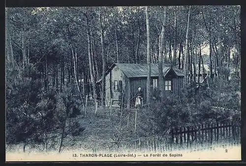 AK Tharon-Plage, La Forêt de Sapins et cabane en bois