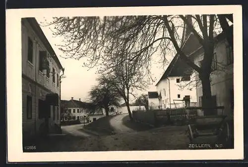 AK Zeillern /N. D., Strassenpartie mit Bäumen