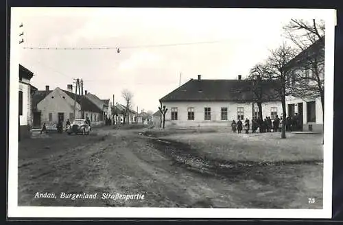 AK Andau /Burgenland, Strassenpartie im Herbst