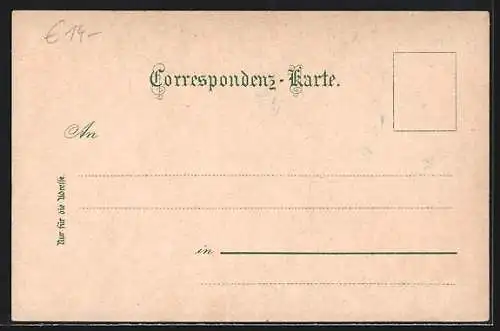 Lithographie Linz, Ortsansicht v. d. Franz-Josef-Warte, Pöstlingberg, Franz-Josef-Platz mit Pferdebahn