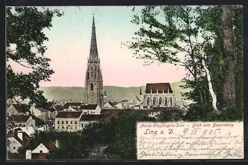 AK Linz /Donau, Maria-Empfängnis-Dom