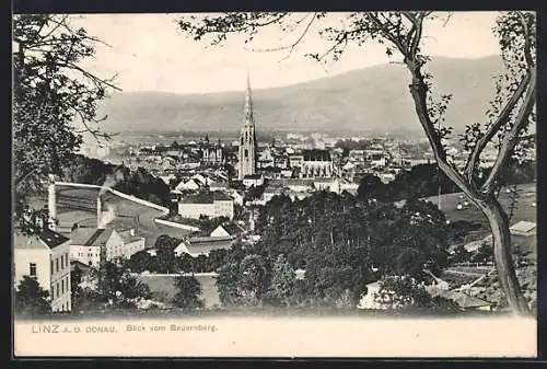 AK Linz a. d. Donau, Blick vom Bauernberg