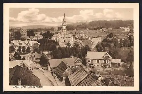 AK Zakopane, Ogólny widok