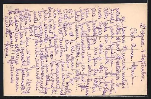 AK St-Agreve, Vue générale prise du Mont Chiniac, Kühe