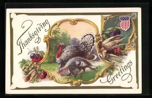 Präge-AK Thanksgiving Greetings, Truthahn und Pute, Passepartout mit Ernte