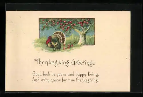 AK Thanksgiving Greetings, Truthahn unter einem Apfelbaum