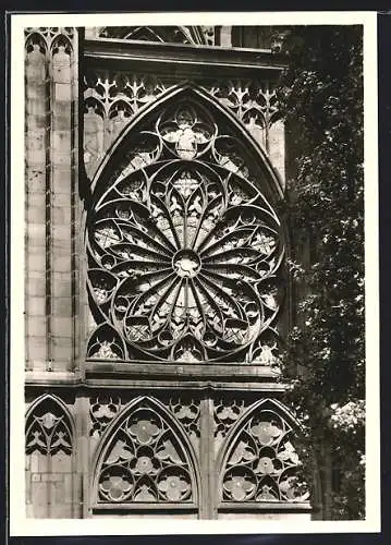 Foto-AK Deutscher Kunstverlag, Nr. 15: Oppenheim, Katharinenkirche, Spätgotisches Masswerkfenster der Südseite