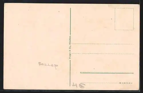 AK Kranji, Krainburg, Totalansicht