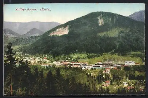 AK Assling-Jesenice, Blick auf den Ort