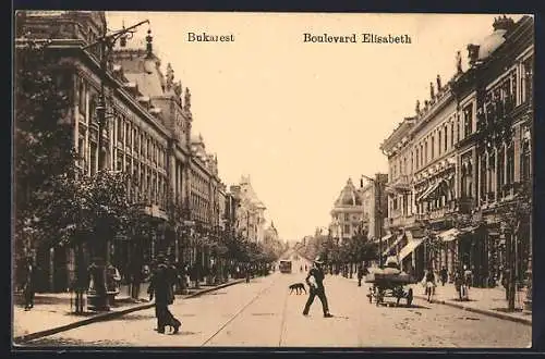 AK Bukarest, Boulevard Elisabeth mit Strassenbahn