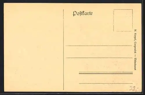 AK Berlin-Köpenick, Villenkolonie Uhlenhorst, Eichen-Allee