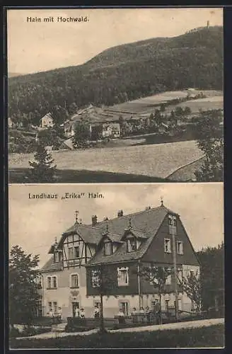 AK Hain-Oybin, Hotel Landhaus Erika, Ortsansicht mit Hochwald