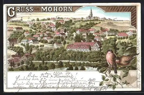 Lithographie Mohorn, Gesamtansicht mit Kirche, Vögel auf dem Zweig