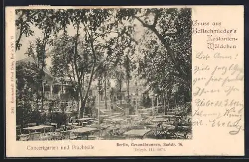 AK Berlin-Gesundbrunnen, Gasthaus Ballschmieder`s Kastanien-Wäldchen, Concertgarten und Prachtsäle, Badstrasse 16